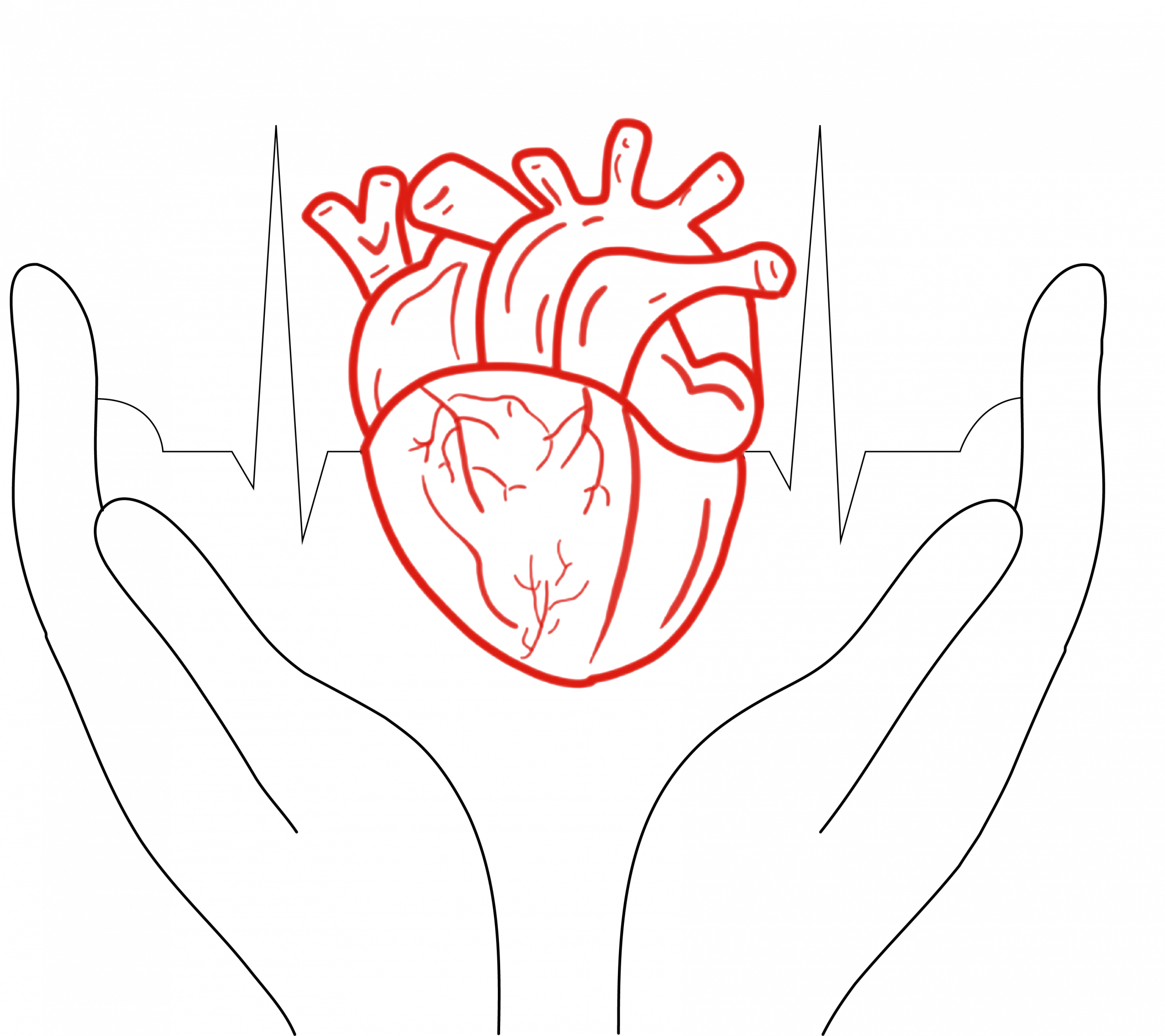 Logo Dr. Evgenia Jansa