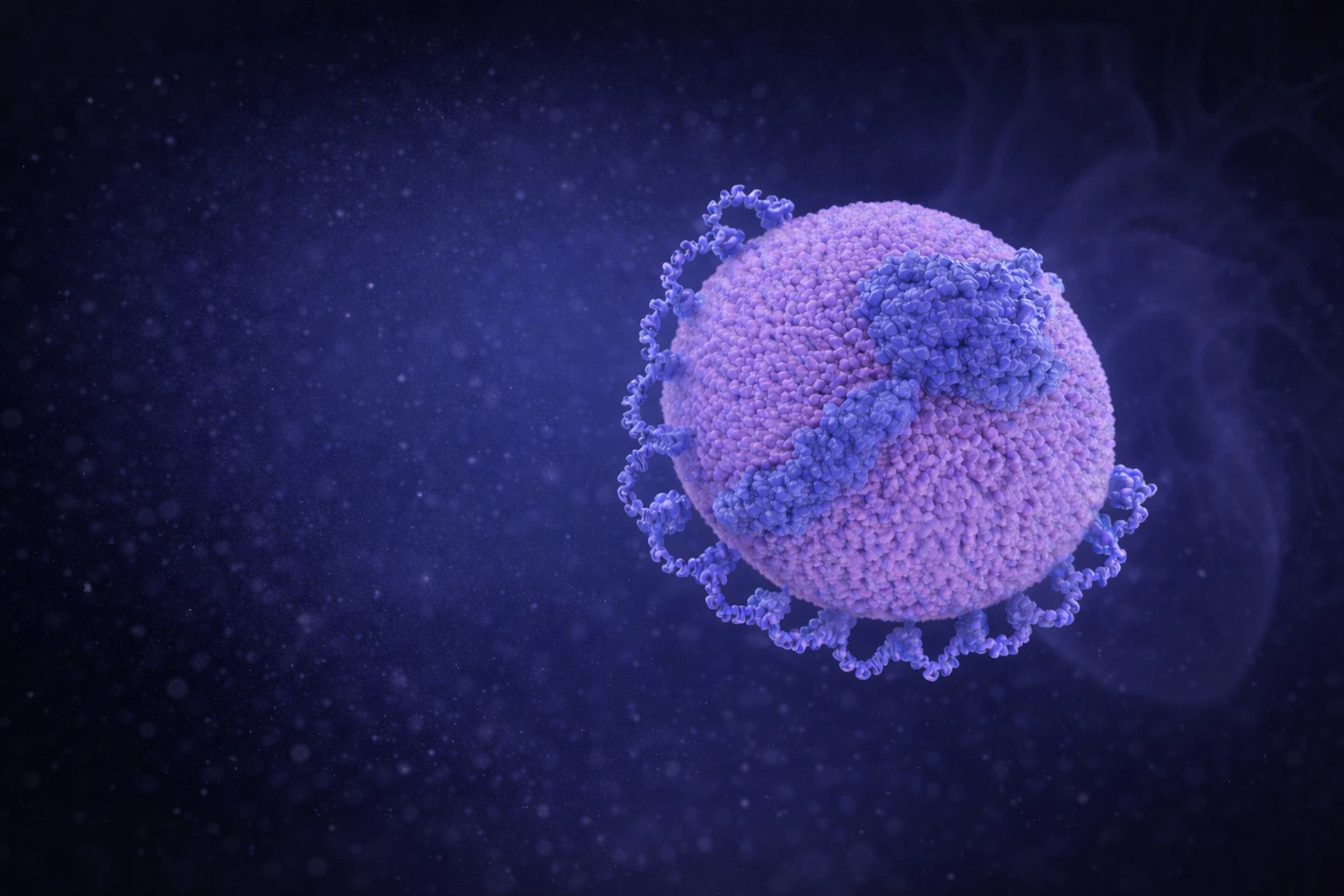 Lipoprotein(a) – der stille Risikofaktor für Ihr Herz